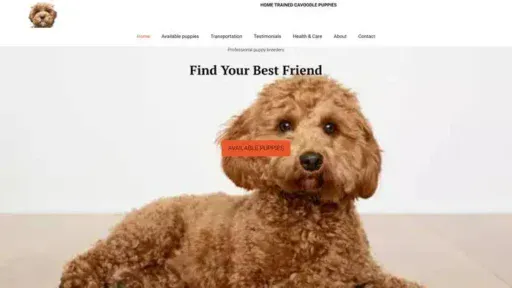 Screenshot of