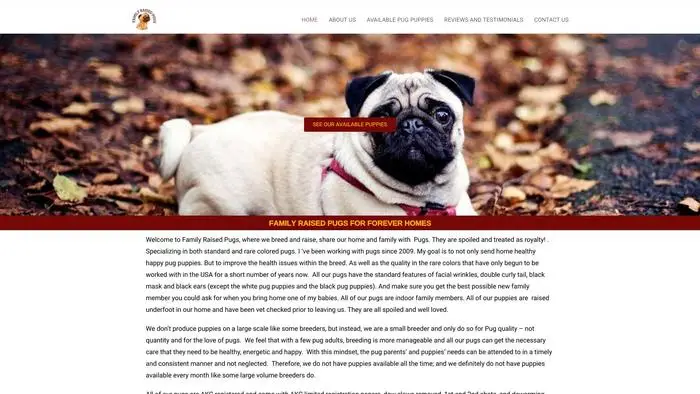 Screenshot of