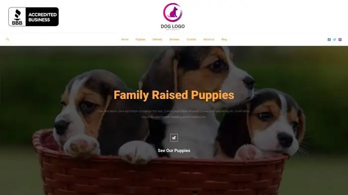 Screenshot of
