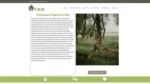 Screenshot of||