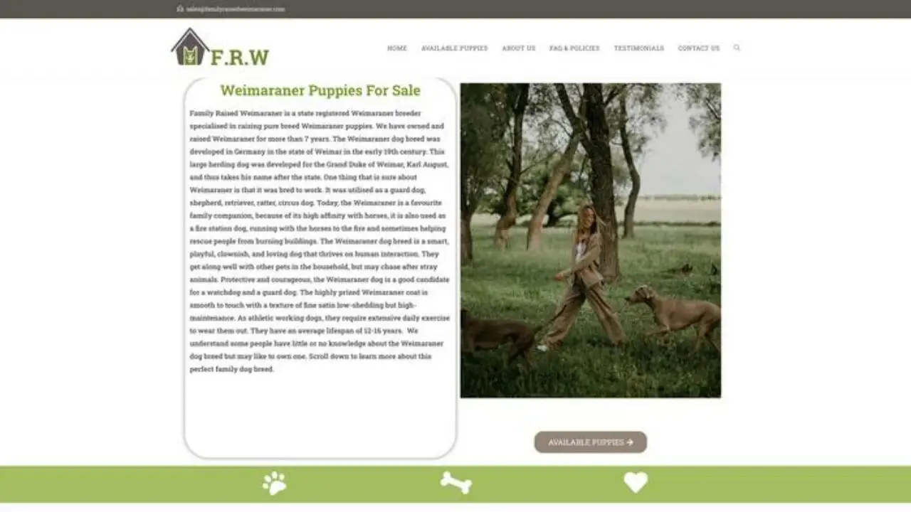 Familyraisedweimaraner