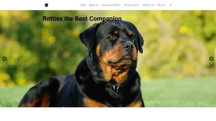 Screenshot of