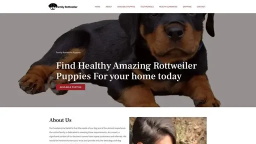Screenshot of