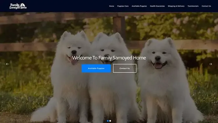 Screenshot of