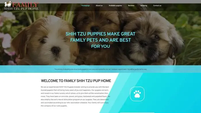 Screenshot of
