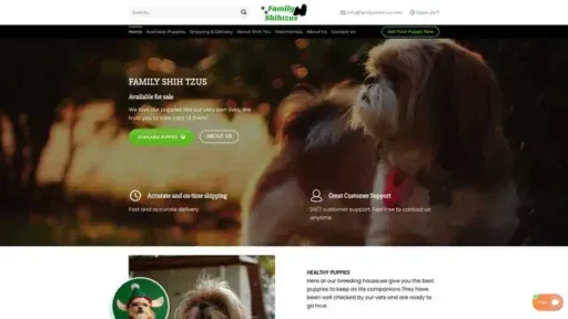 Screenshot of