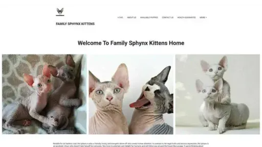 Screenshot of