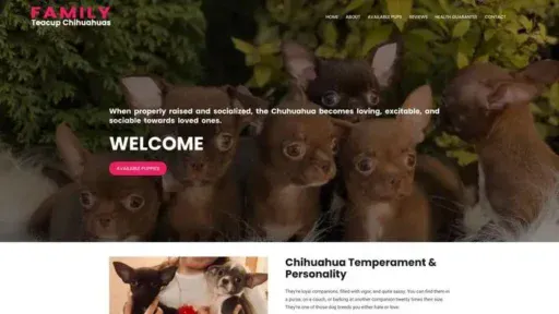 Screenshot of