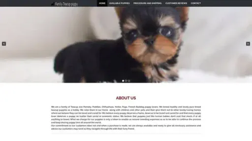 Screenshot of