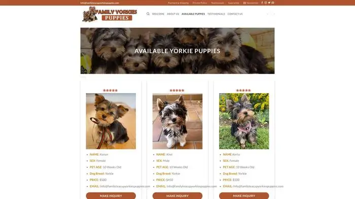 Screenshot of