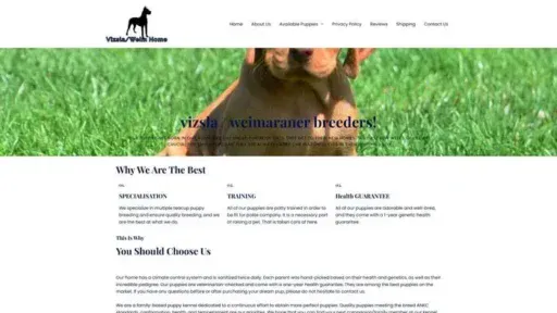 Screenshot of