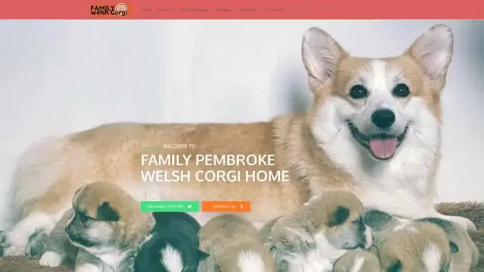 Screenshot of