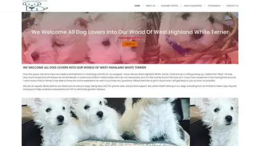 Screenshot of