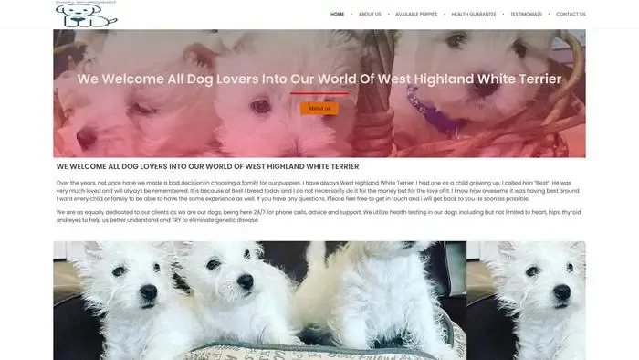 Screenshot of