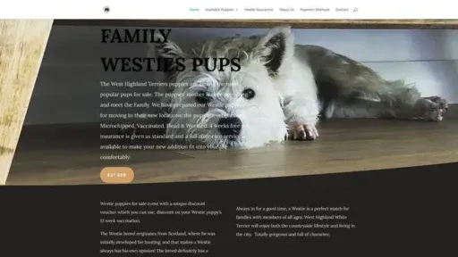 Screenshot of