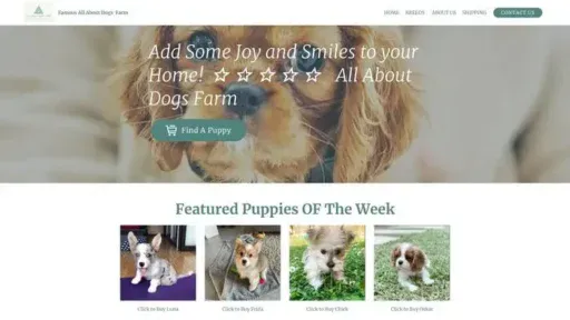 Screenshot of