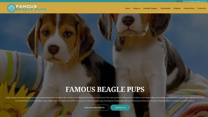 Screenshot of