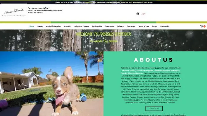 Screenshot of
