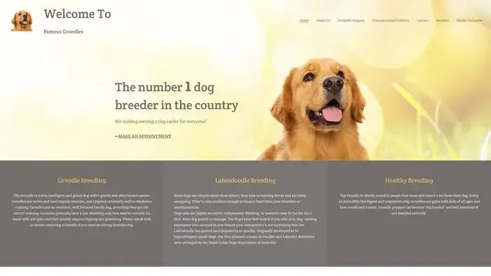 Screenshot of