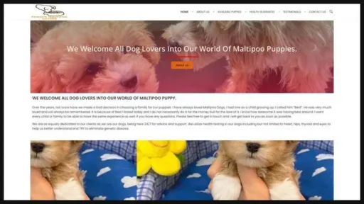 Screenshot of