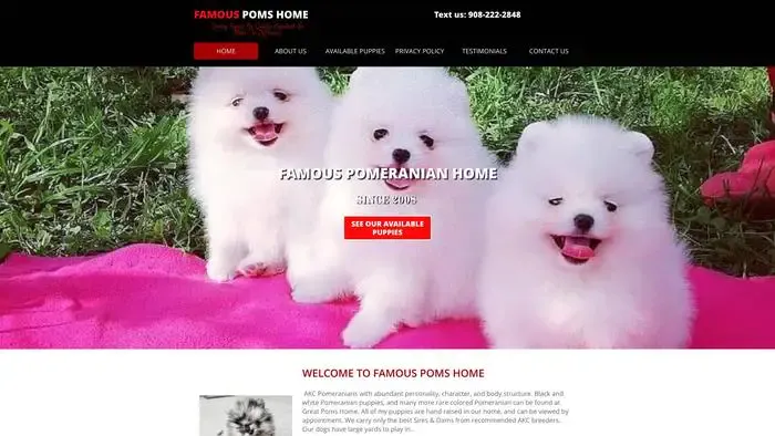 Screenshot of