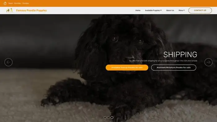 Screenshot of