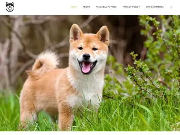 Screenshot of