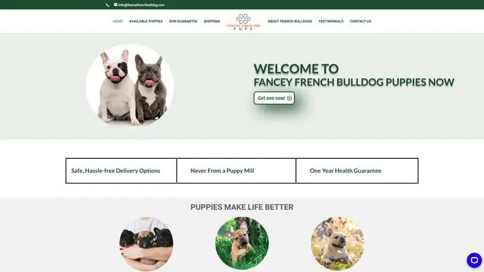 Screenshot of