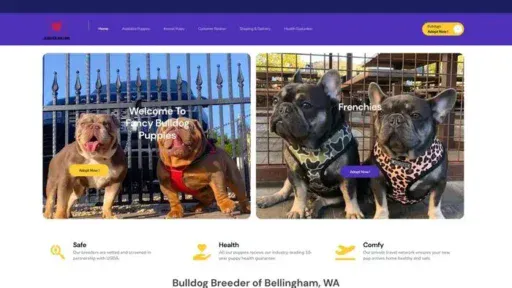 Screenshot of