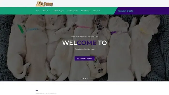 Screenshot of
