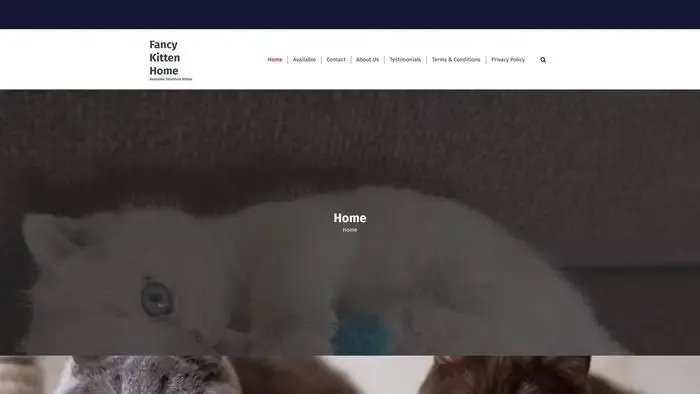 Screenshot of