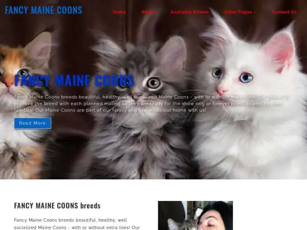 Screenshot of