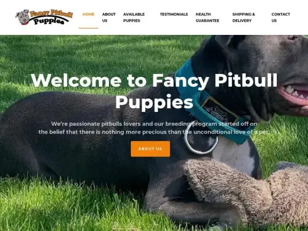 Fancypitbullpuppies