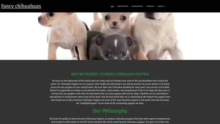 Screenshot of