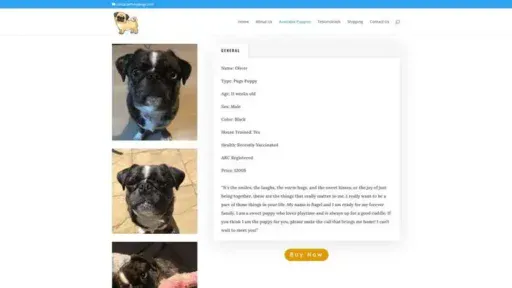 Screenshot of