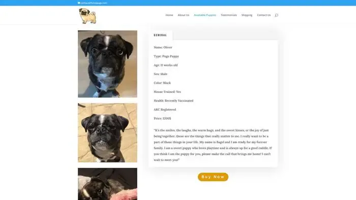 Screenshot of