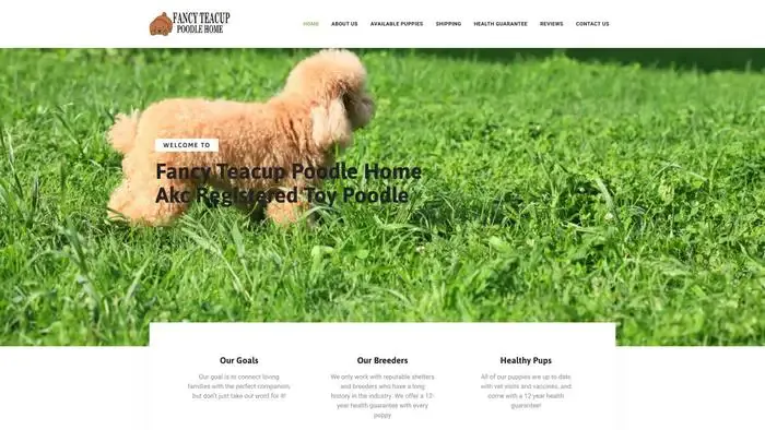 Screenshot of