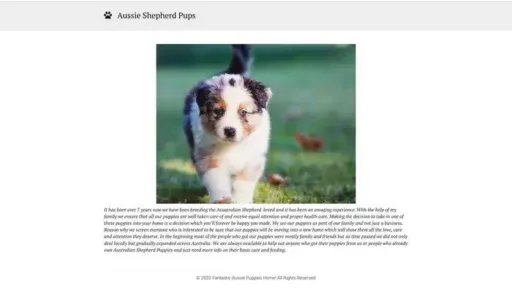 Screenshot of