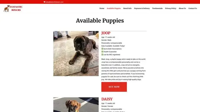 Screenshot of