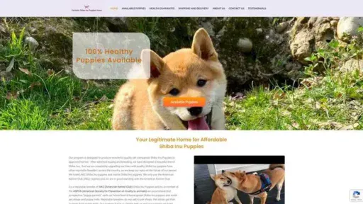 Screenshot of