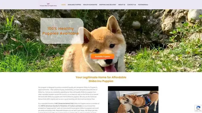 Screenshot of