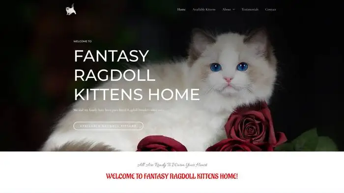 Screenshot of