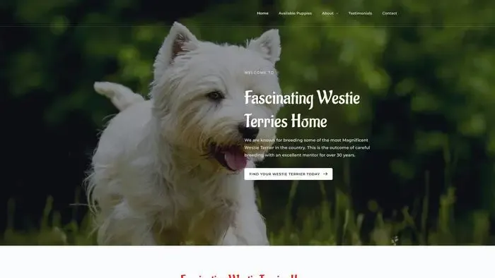 Screenshot of