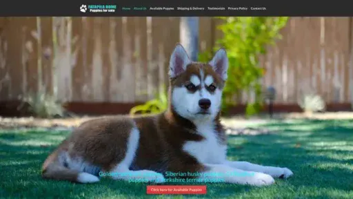 Screenshot of