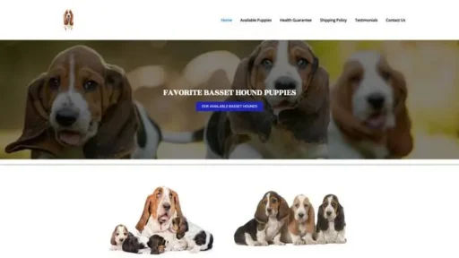 Screenshot of|