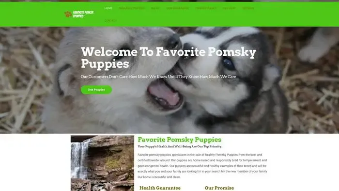Screenshot of