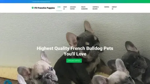 Screenshot of