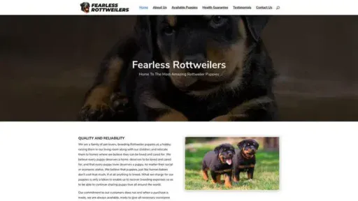 Screenshot of