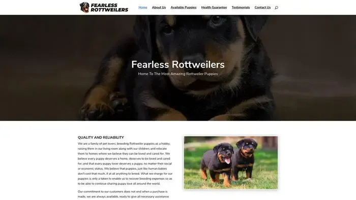 Screenshot of
