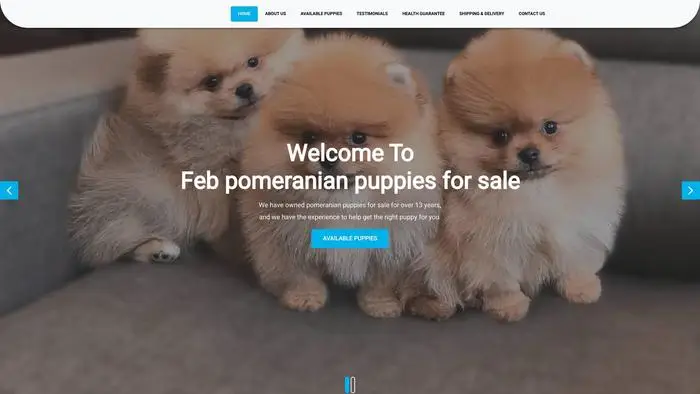 Screenshot of